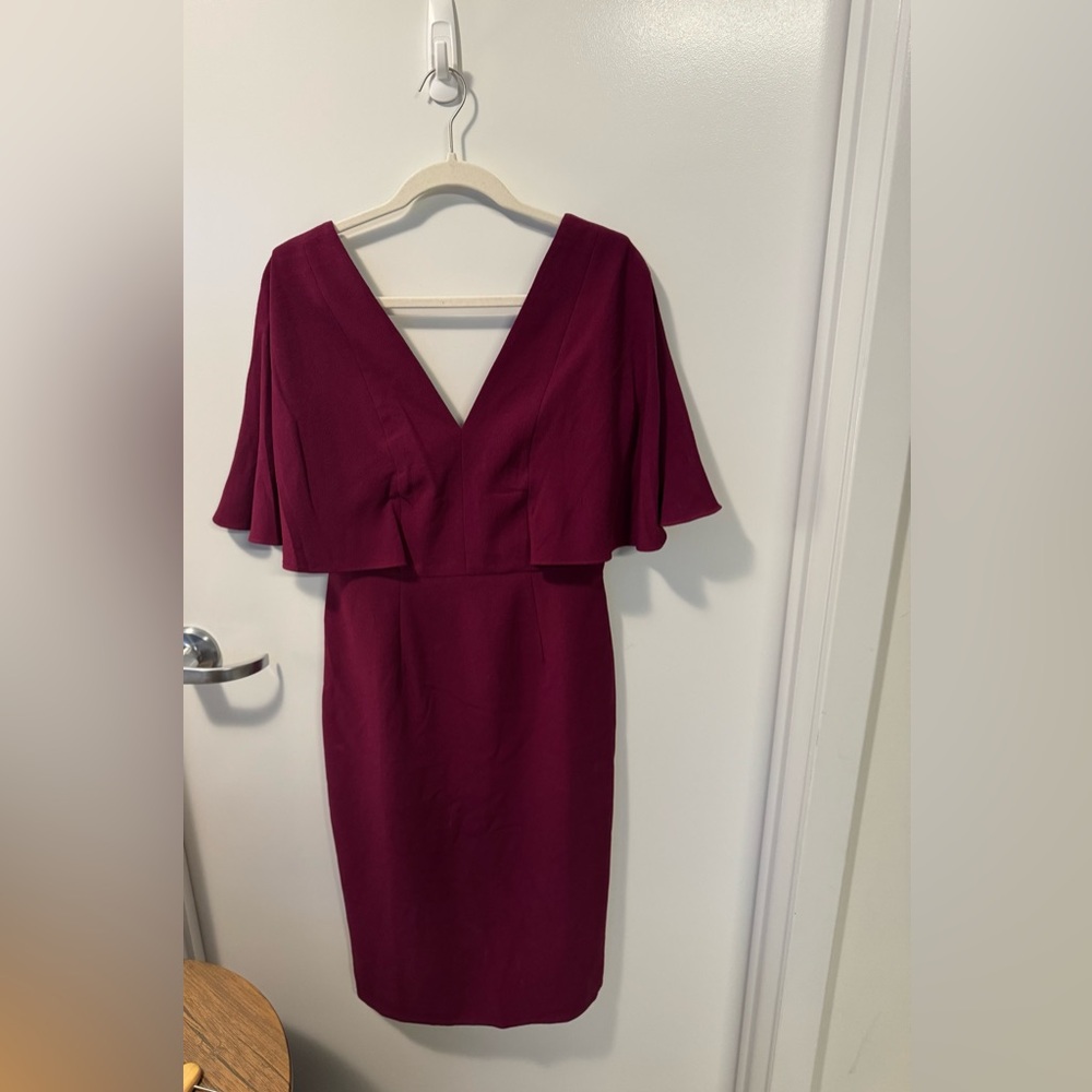 Dress the Population | Louisa Dress in Maroon | Size: M
